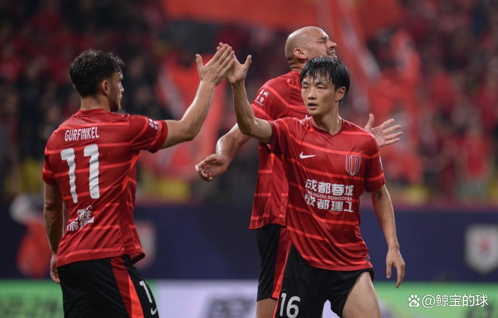 开云体育中国官方网站-成都蓉城足协杯半决赛