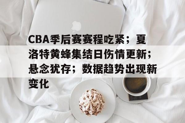 开云体育网站-CBA季后赛赛程吃紧；夏洛特黄蜂集结日伤情更新；悬念犹存；数据趋势出现新变化